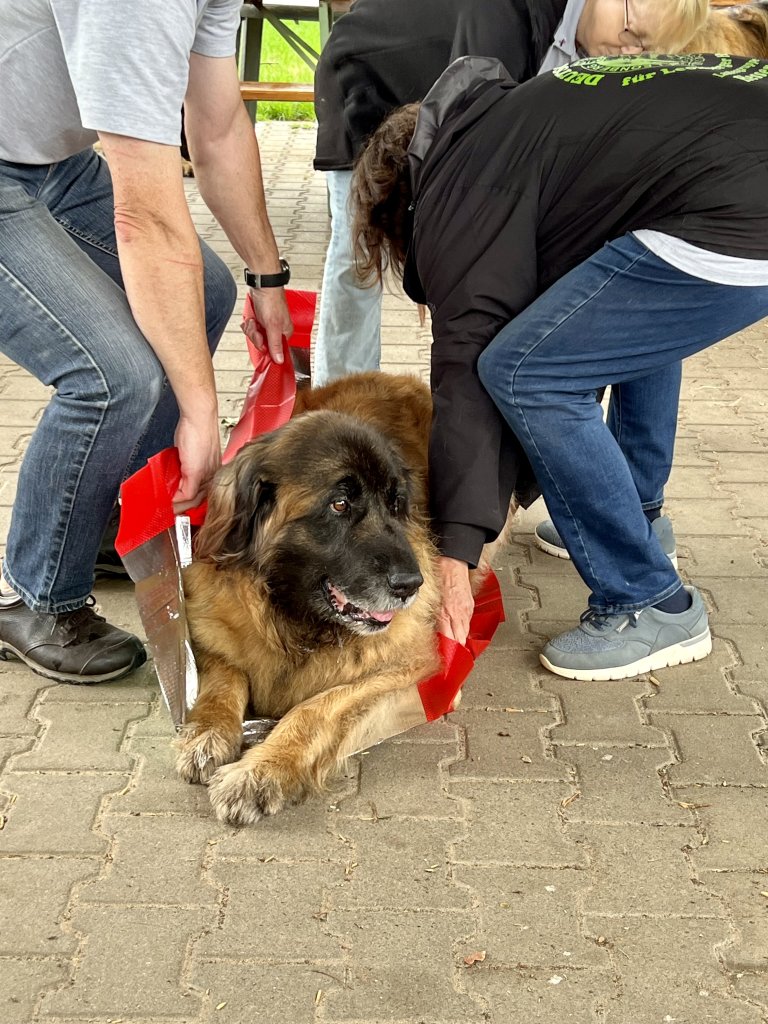 Wenn möglich ????????????